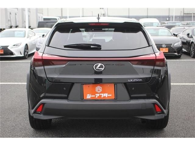 LEXUS UX250h
