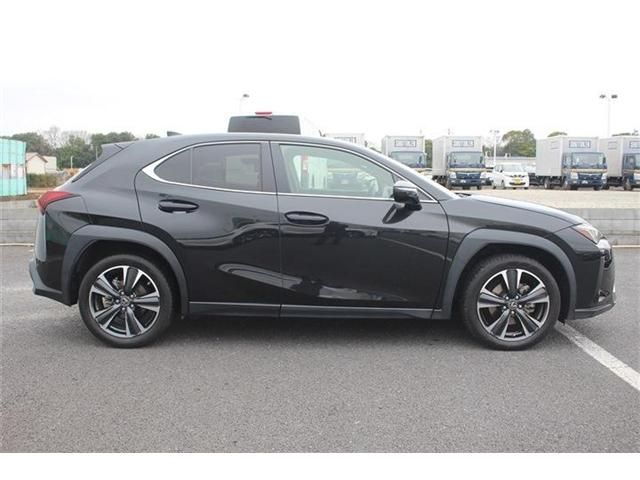 LEXUS UX250h