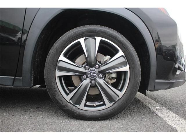 LEXUS UX250h