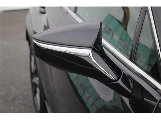 LEXUS UX250h