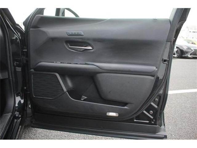 LEXUS UX250h