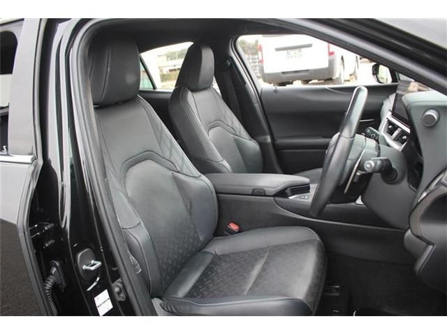 LEXUS UX250h