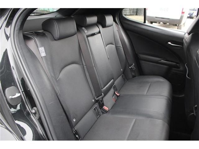 LEXUS UX250h
