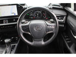 LEXUS UX250h