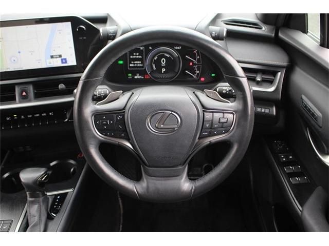 LEXUS UX250h