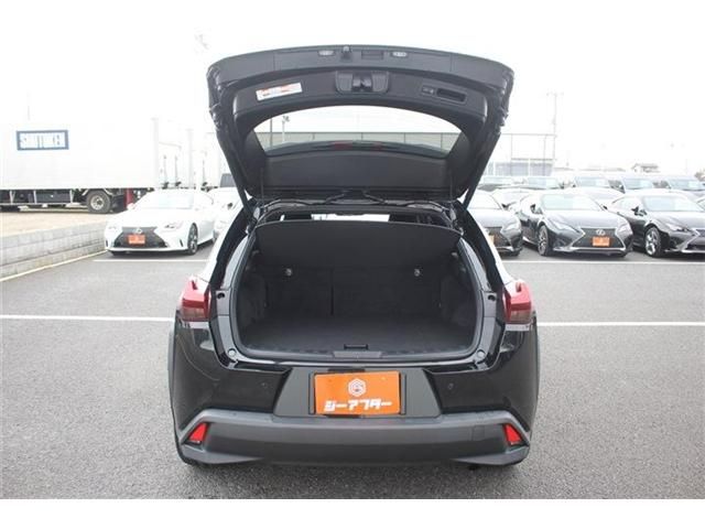 LEXUS UX250h