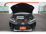 LEXUS UX250h