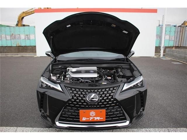 LEXUS UX250h