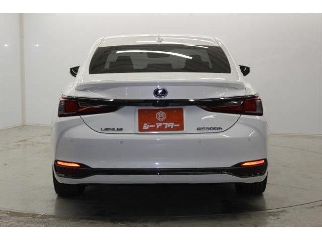 LEXUS ES300h