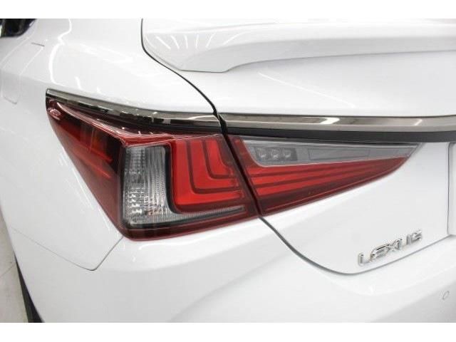 LEXUS ES300h
