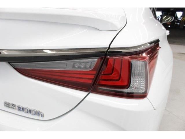 LEXUS ES300h