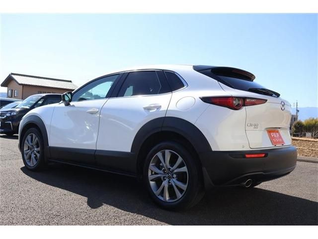 CX-30