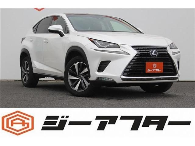 LEXUS NX300h