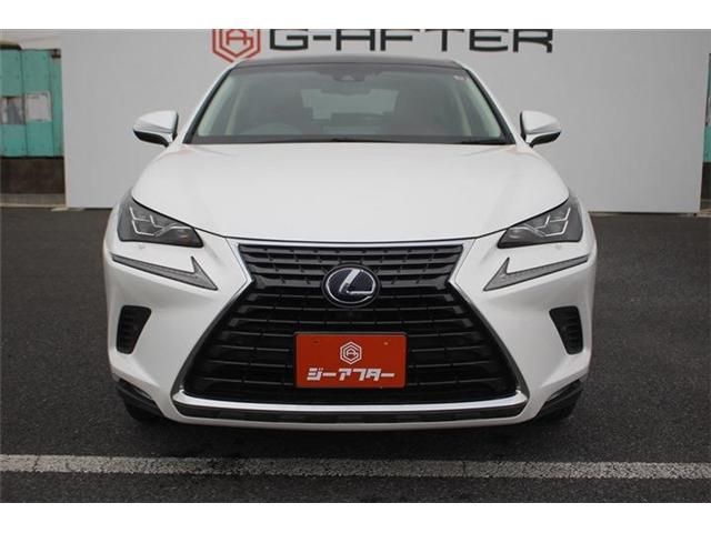 LEXUS NX300h
