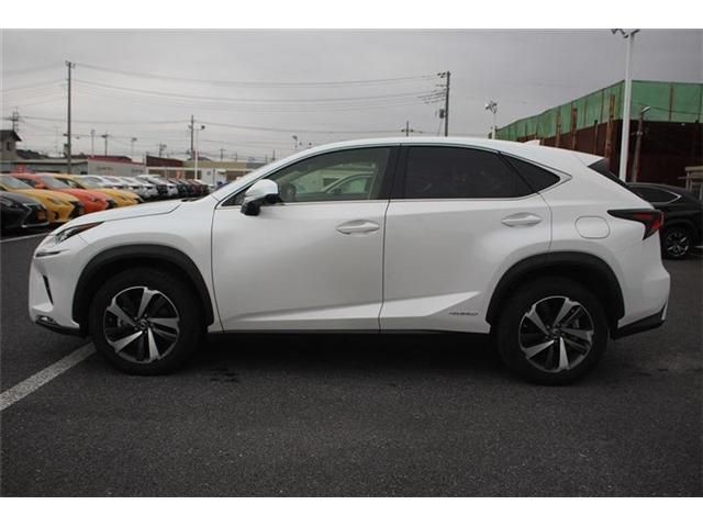 LEXUS NX300h