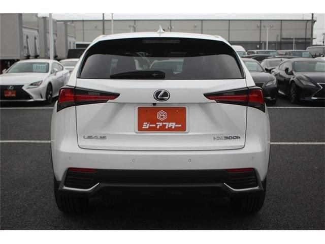 LEXUS NX300h