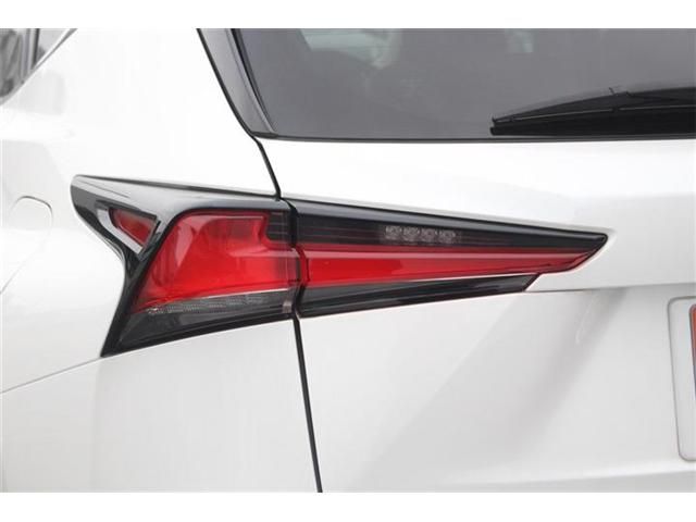 LEXUS NX300h