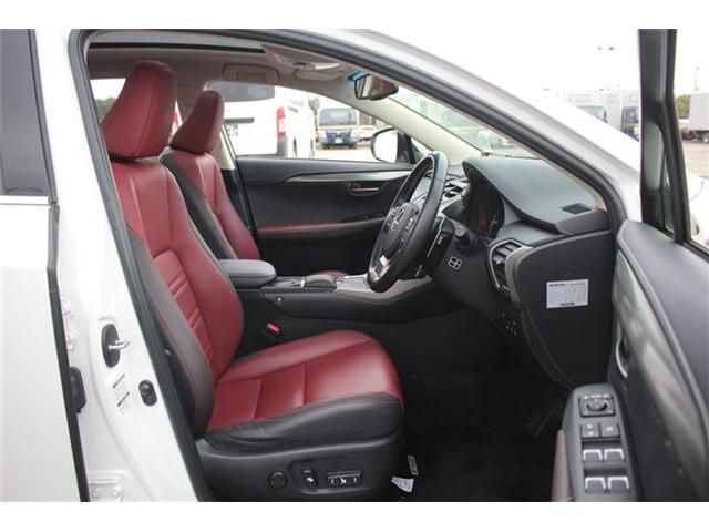 LEXUS NX300h
