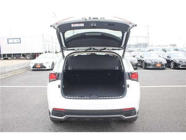 LEXUS NX300h