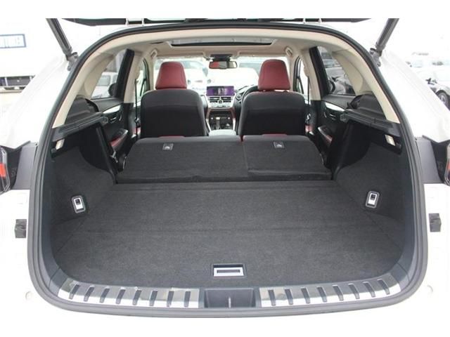 LEXUS NX300h