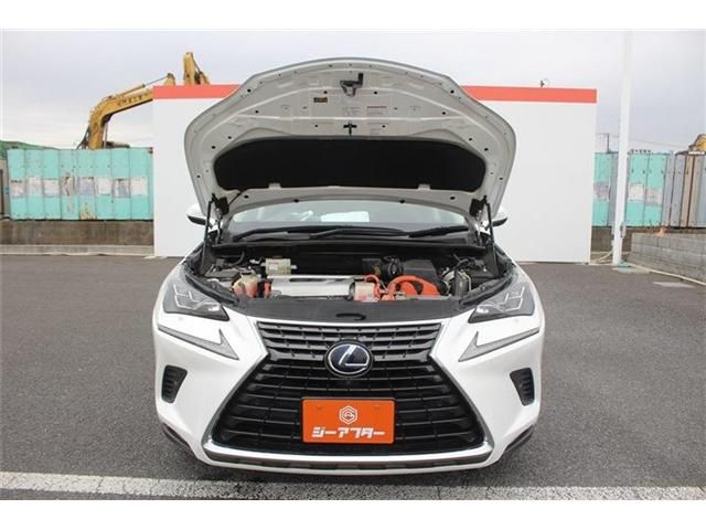 LEXUS NX300h