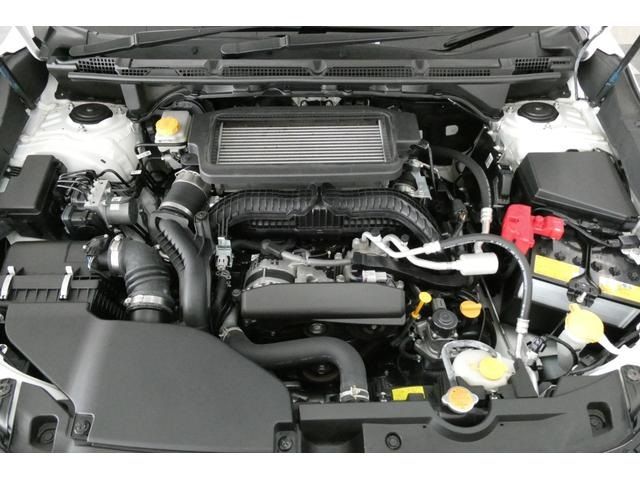 LEVORG LAYBACK