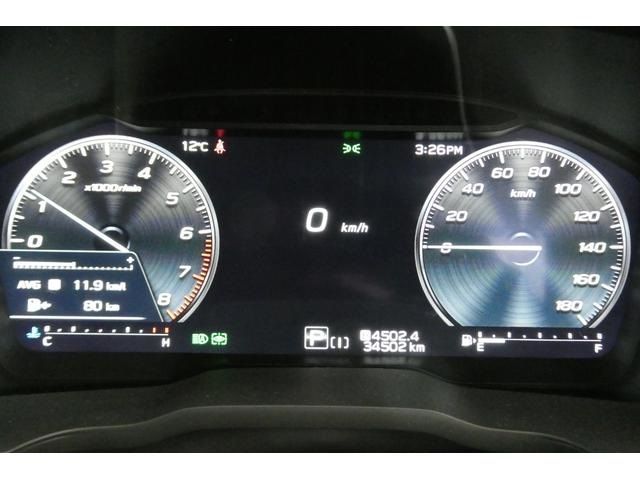 LEVORG LAYBACK