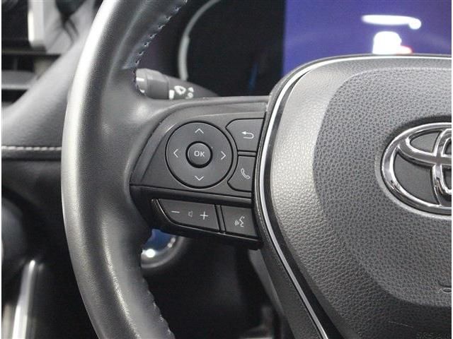 RAV4 HYBRID 4WD