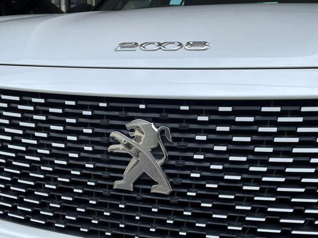 PEUGEOT e-2008