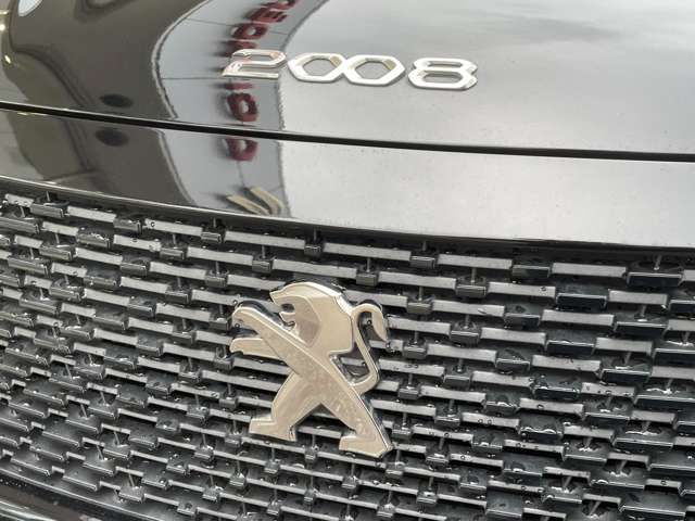 PEUGEOT e-2008