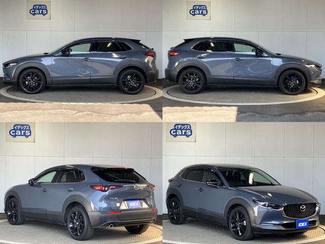 CX-30