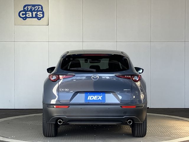 CX-30
