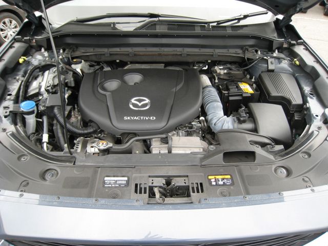 CX-8
