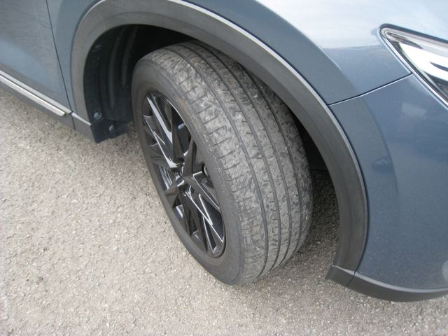 CX-8