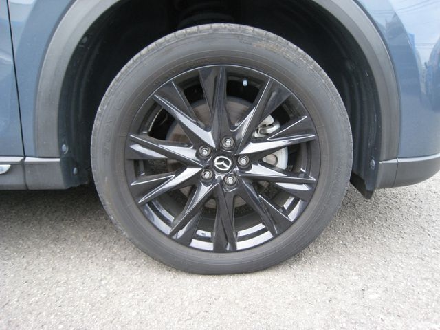 CX-8