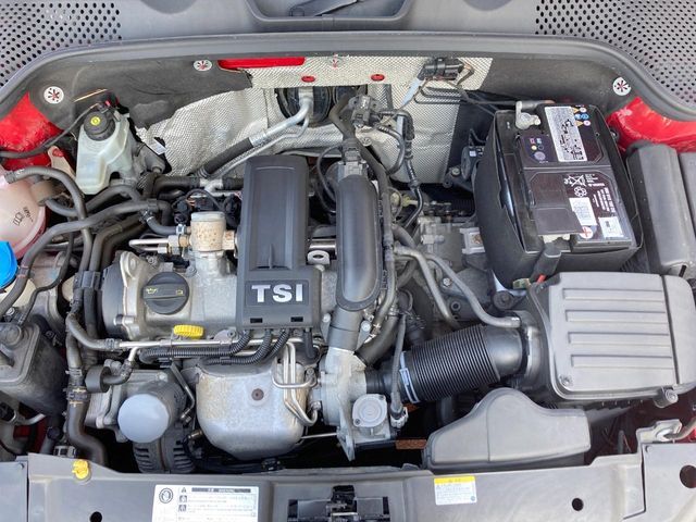VOLKSWAGEN The BEETLE