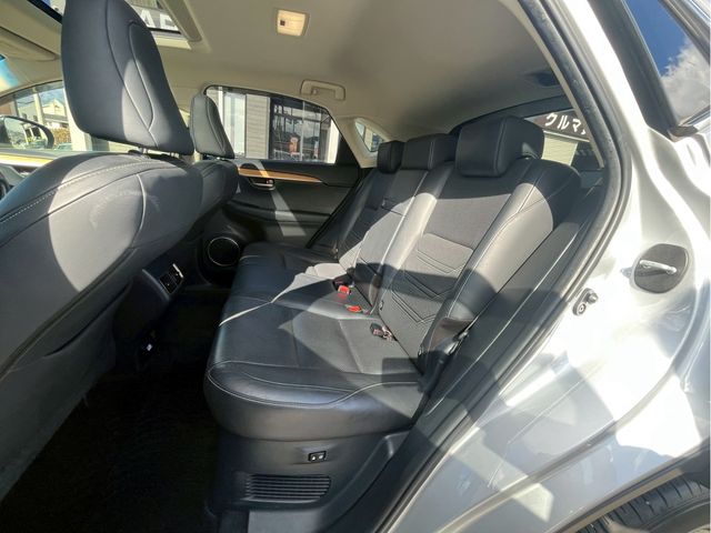 LEXUS NX300h