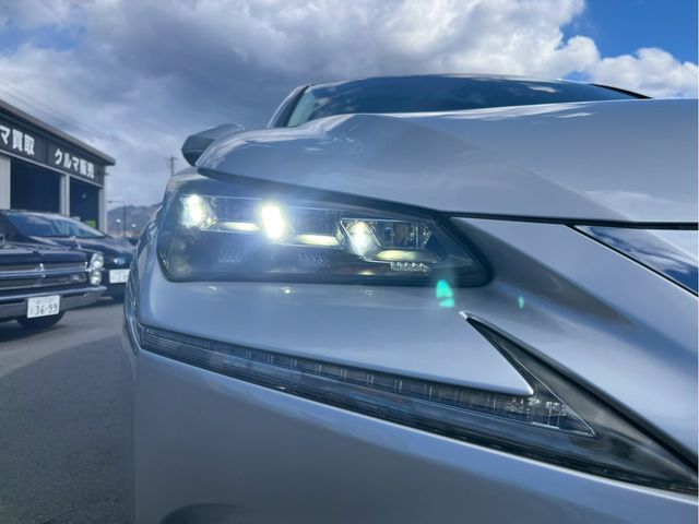 LEXUS NX300h