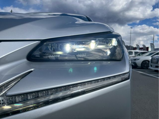 LEXUS NX300h