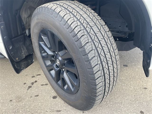 LANDCRUISER PRADO