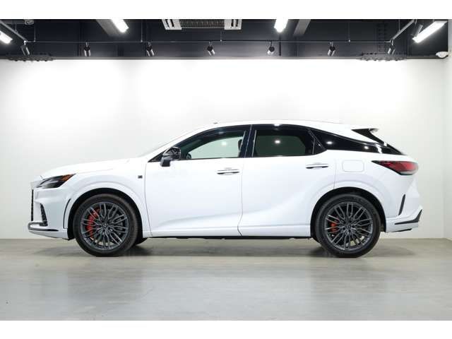 LEXUS RX500h