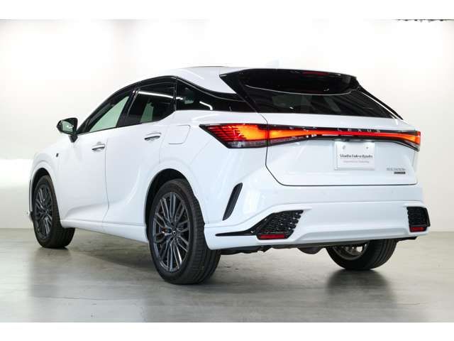 LEXUS RX500h