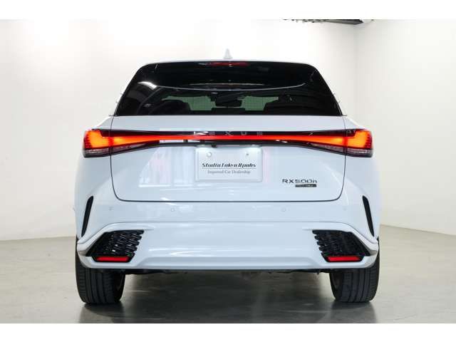 LEXUS RX500h