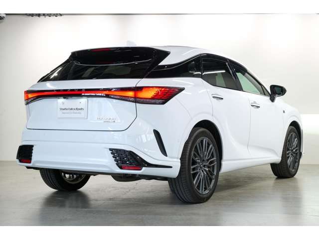 LEXUS RX500h