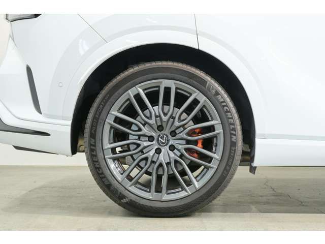 LEXUS RX500h