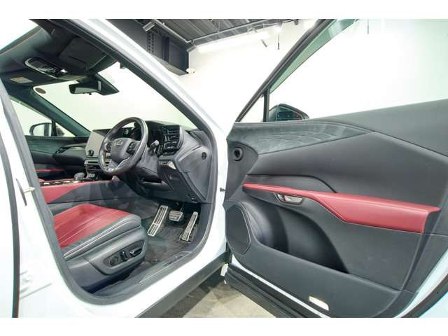 LEXUS RX500h