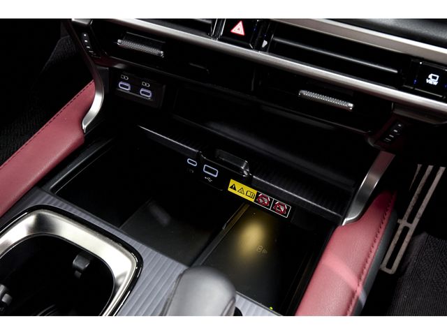 LEXUS RX500h