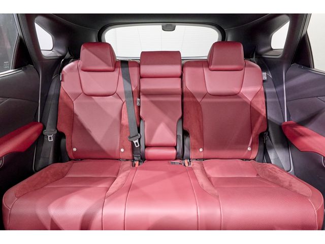 LEXUS RX500h