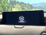 CX-60
