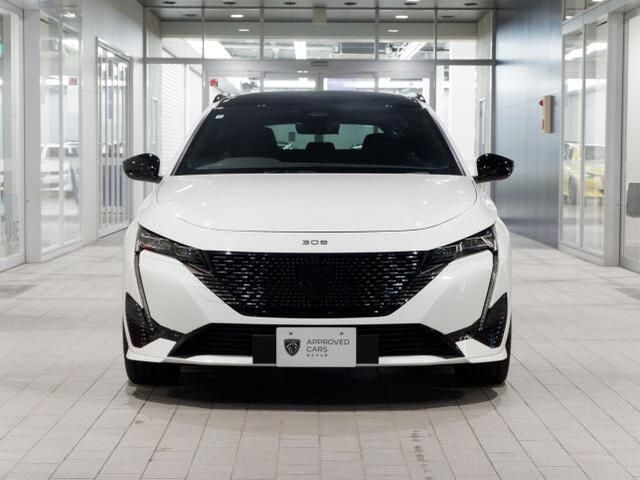 PEUGEOT 308SW